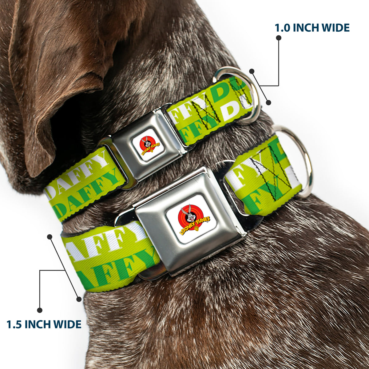 Looney Tunes Logo Full Color White Seatbelt Buckle Collar - DAFFY DUCK w/Face CLOSE-UP Greens Dog Collars Seatbelt Buckle Looney Tunes