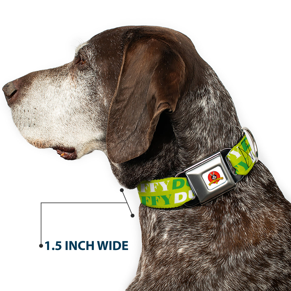 Looney Tunes Logo Full Color White Seatbelt Buckle Collar - DAFFY DUCK w/Face CLOSE-UP Greens Dog Collars Seatbelt Buckle Looney Tunes