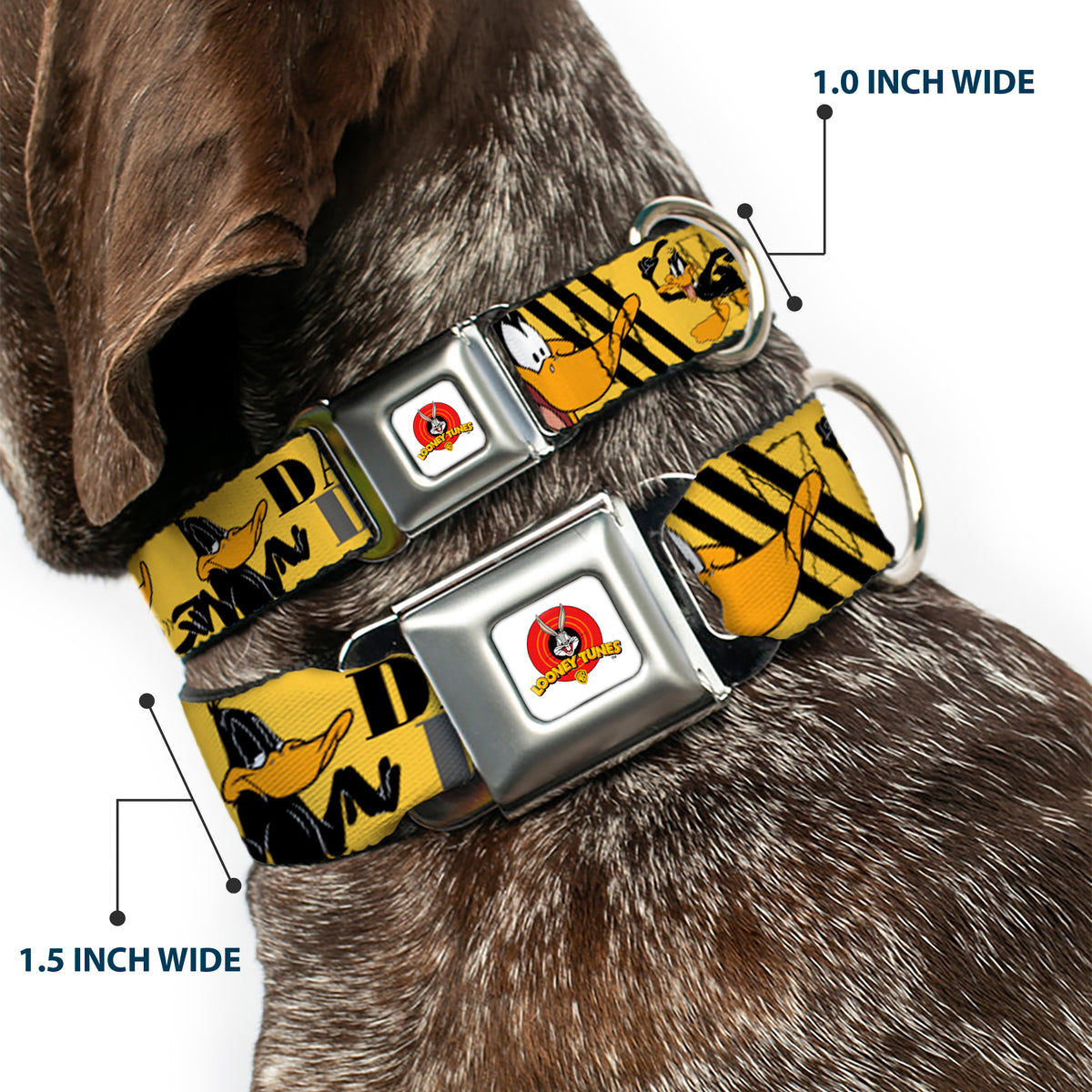 Looney Tunes Logo Full Color White Seatbelt Buckle Collar - DAFFY DUCK w/Poses Yellow/Black Dog Collars Seatbelt Buckle Looney Tunes