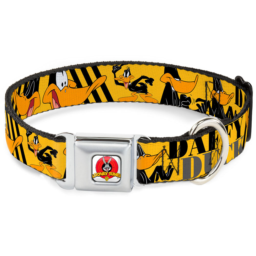 Looney Tunes Logo Full Color White Seatbelt Buckle Collar - DAFFY DUCK w/Poses Yellow/Black Dog Collars Seatbelt Buckle Looney Tunes