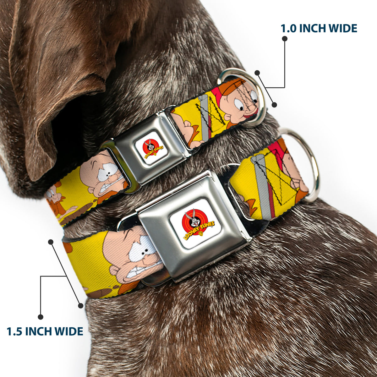Looney Tunes Logo Full Color White Seatbelt Buckle Collar - Elmer Fudd Expressions Yellow Dog Collars Seatbelt Buckle Looney Tunes