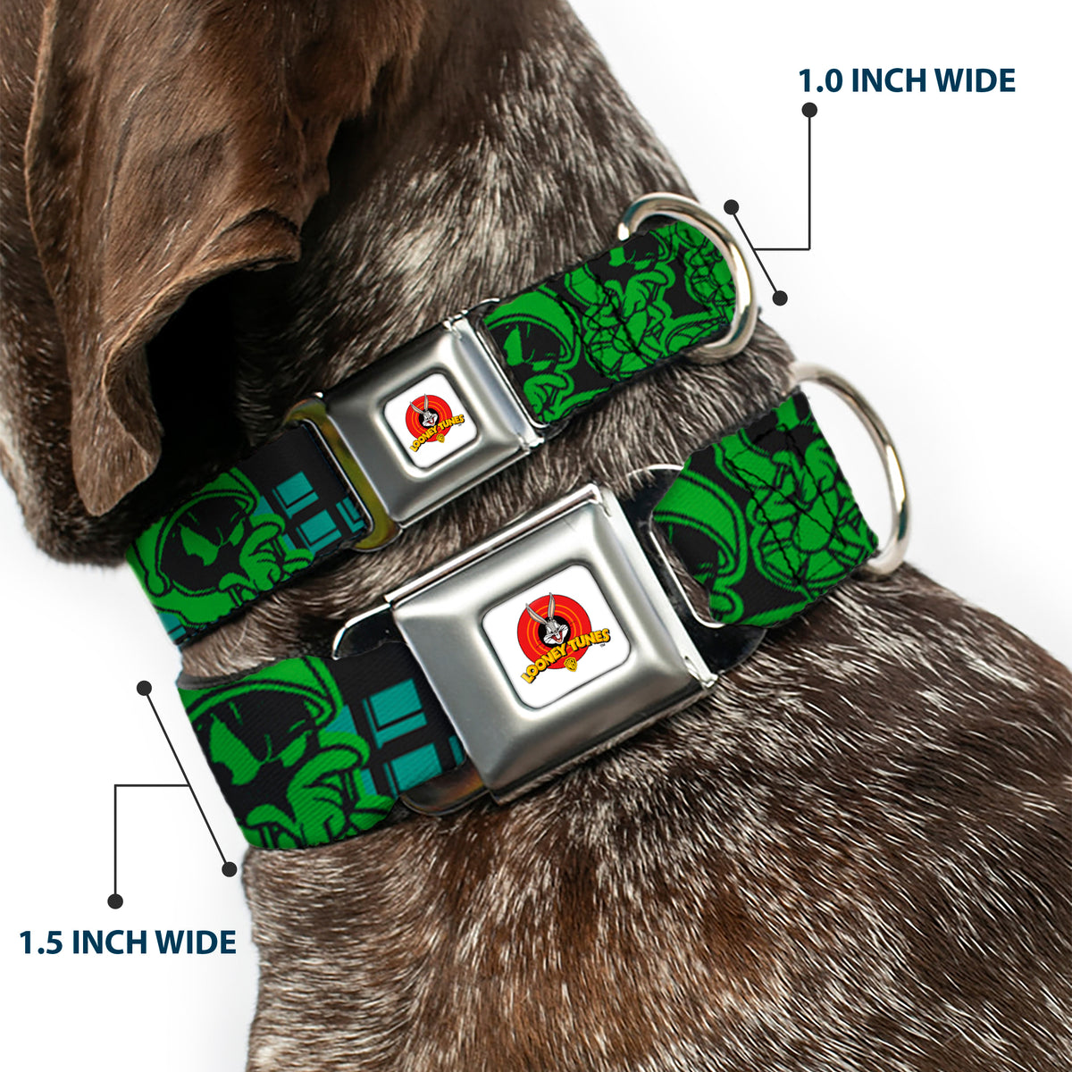 Looney Tunes Logo Full Color White Seatbelt Buckle Collar - MARVIN THE MARTIAN w/Poses Black/Turquoise Dog Collars Seatbelt Buckle Looney Tunes