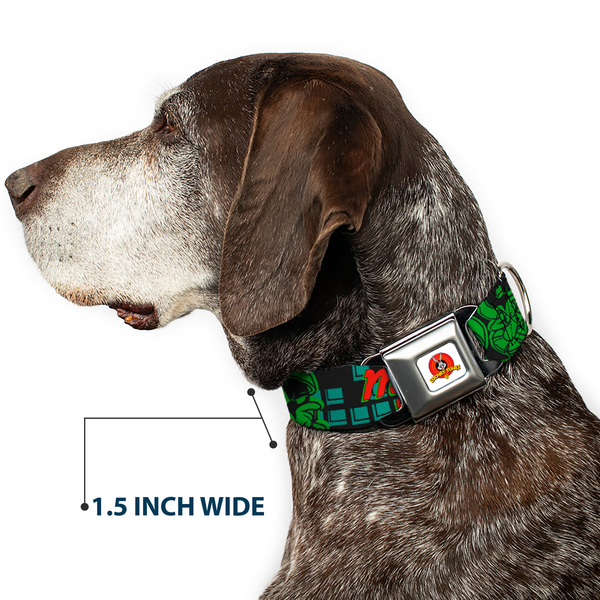 Looney Tunes Logo Full Color White Seatbelt Buckle Collar - MARVIN THE MARTIAN w/Poses Black/Turquoise Dog Collars Seatbelt Buckle Looney Tunes