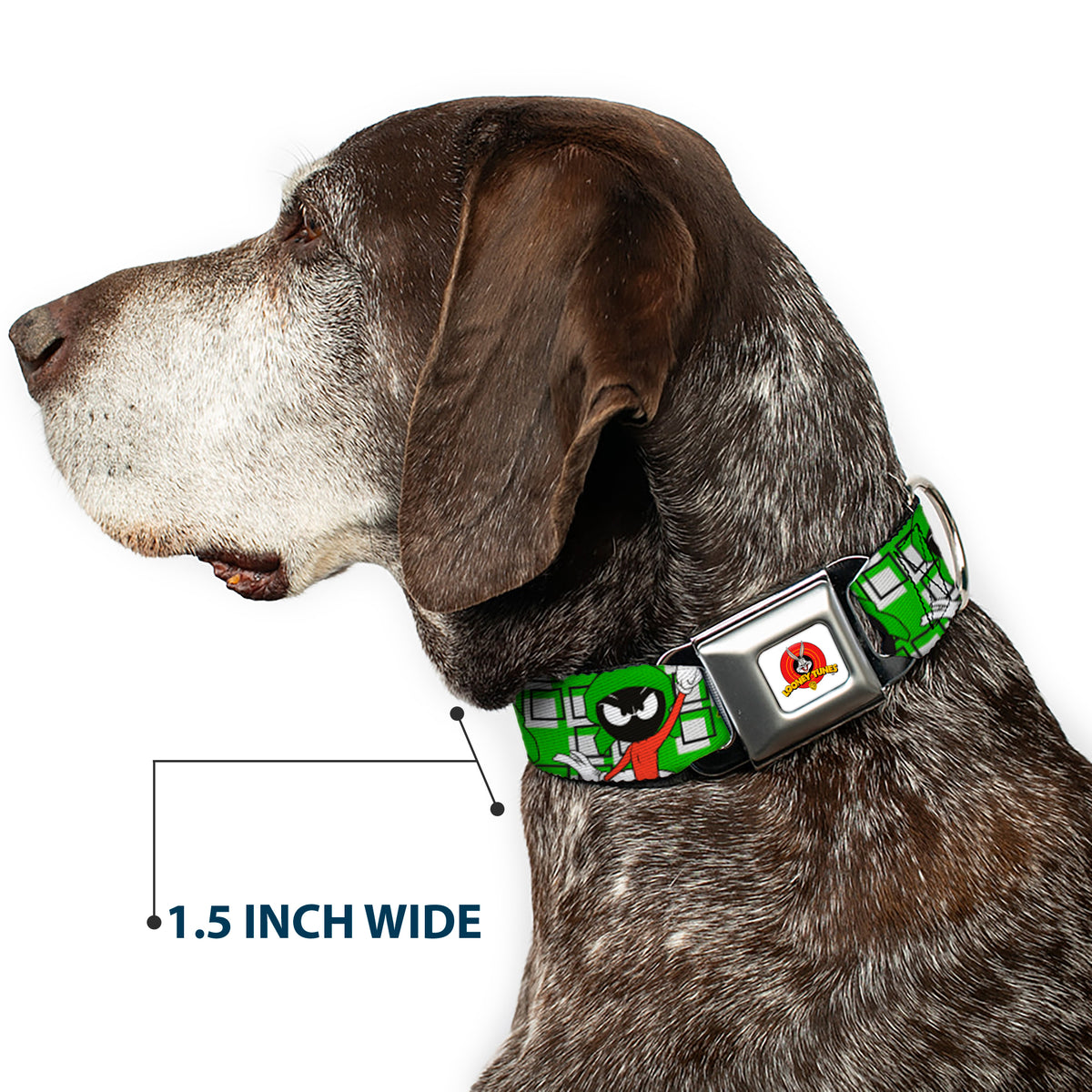 Looney Tunes Logo Full Color White Seatbelt Buckle Collar - MARVIN THE MARTIAN w/Poses White/Green Dog Collars Seatbelt Buckle Looney Tunes
