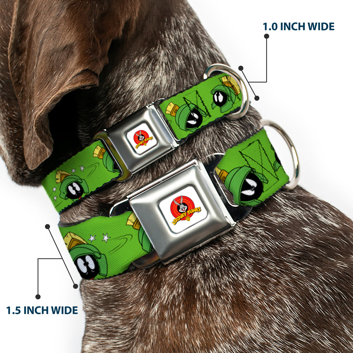 Looney Tunes Logo Full Color White Seatbelt Buckle Collar - MARVIN THE MARTIAN w/Poses/Expressions Green Dog Collars Seatbelt Buckle Looney Tunes