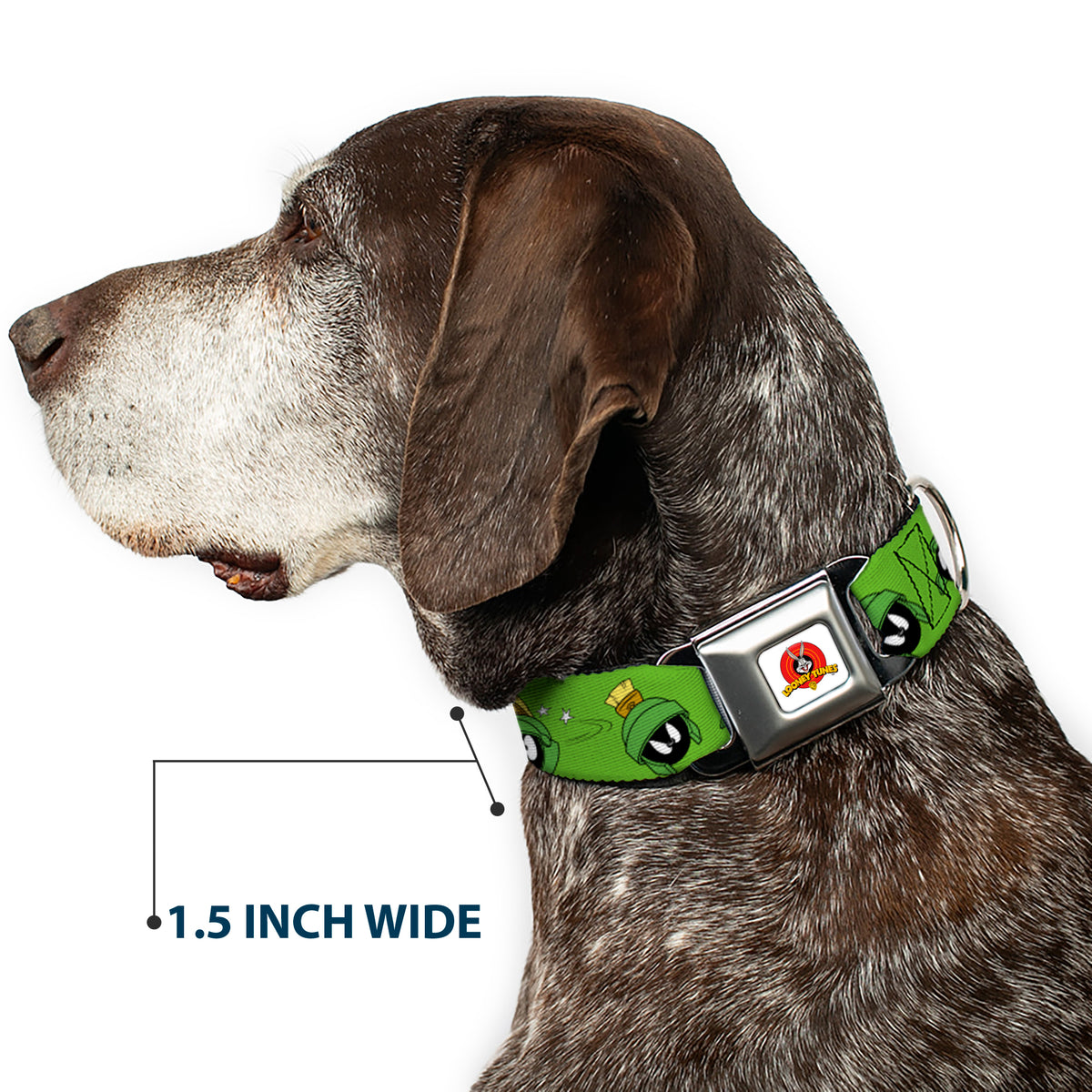 Looney Tunes Logo Full Color White Seatbelt Buckle Collar - MARVIN THE MARTIAN w/Poses/Expressions Green Dog Collars Seatbelt Buckle Looney Tunes
