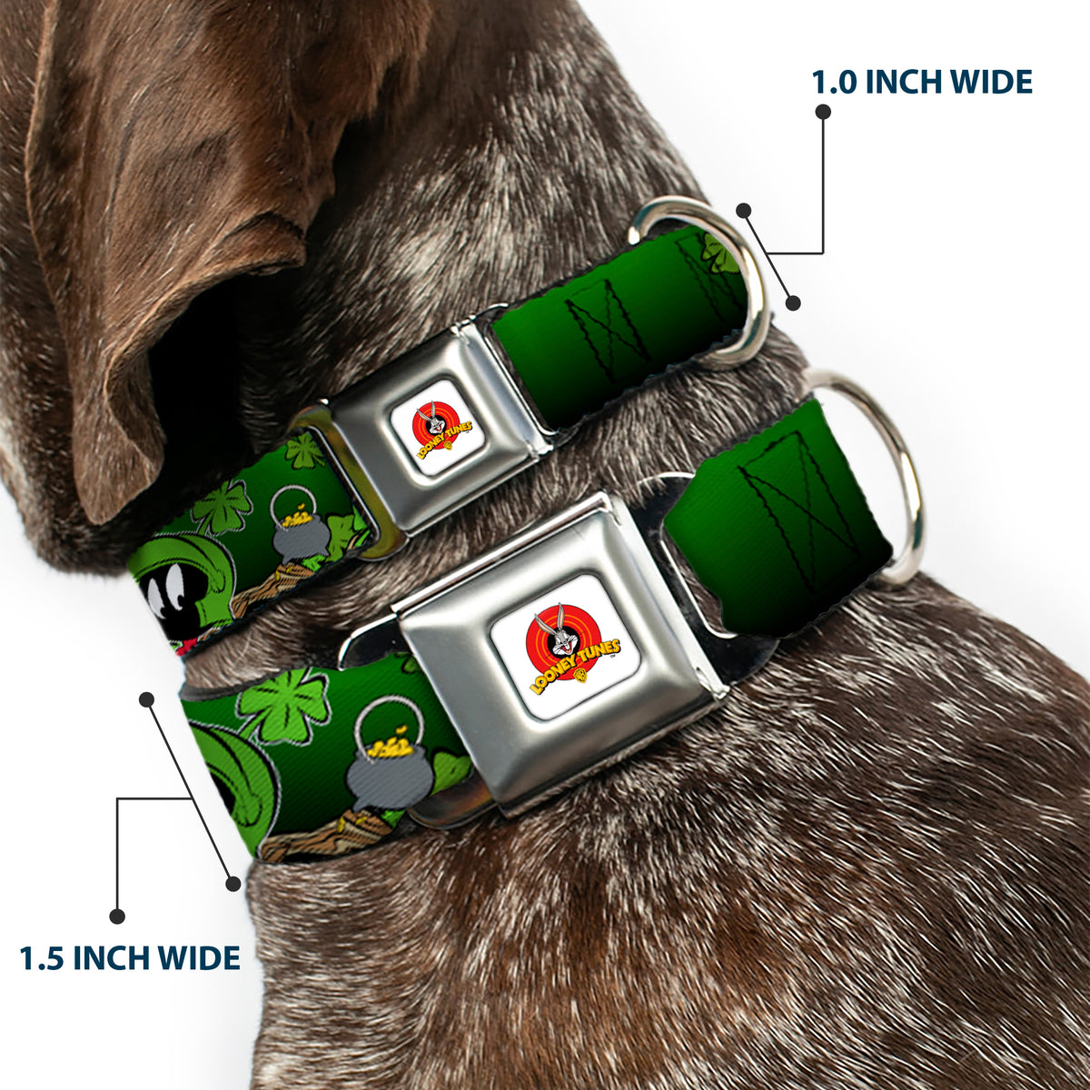 Looney Tunes Logo Full Color White Seatbelt Buckle Collar - Marvin the Martian & K-9 Poses/Clovers Greens Dog Collars Seatbelt Buckle Looney Tunes