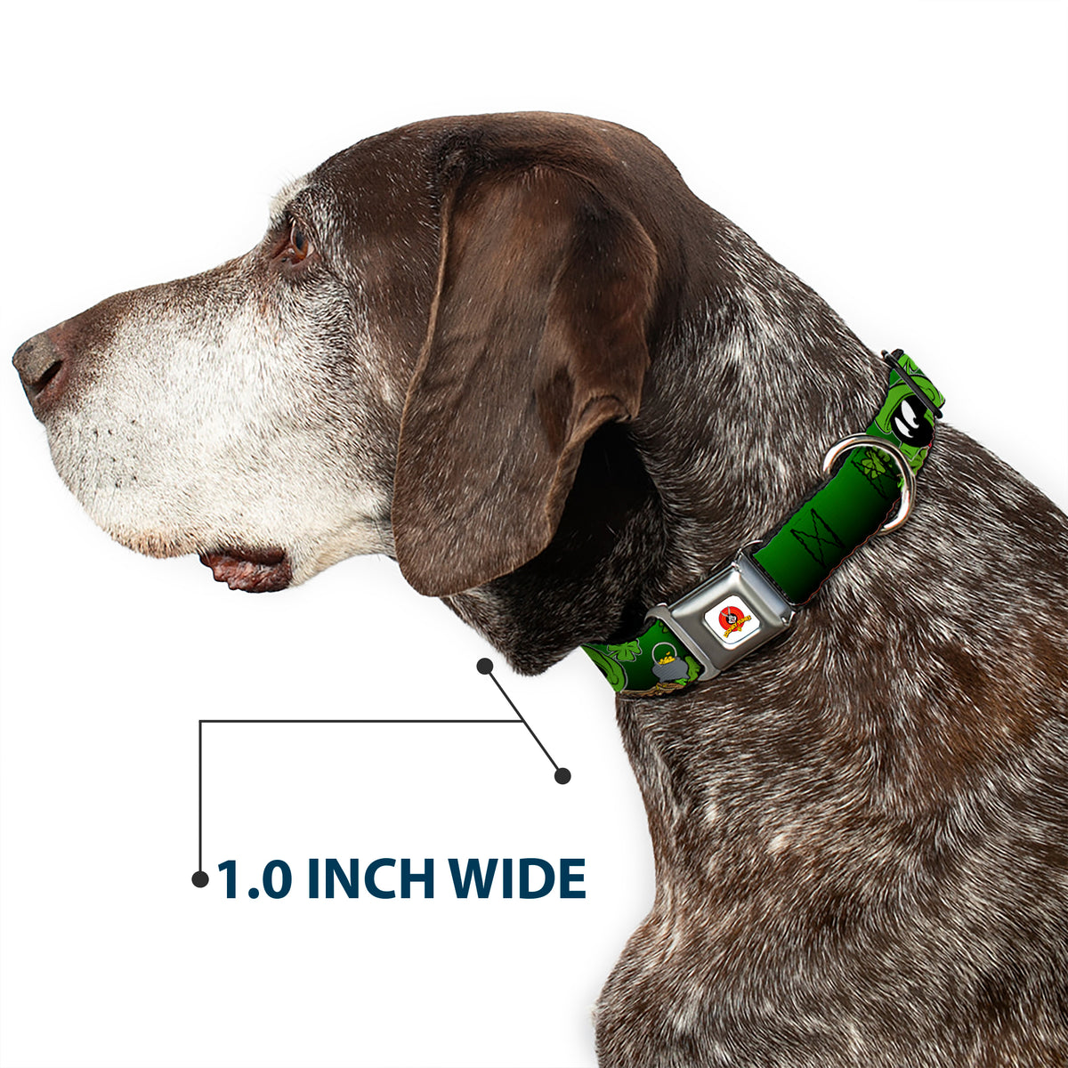Looney Tunes Logo Full Color White Seatbelt Buckle Collar - Marvin the Martian & K-9 Poses/Clovers Greens Dog Collars Seatbelt Buckle Looney Tunes