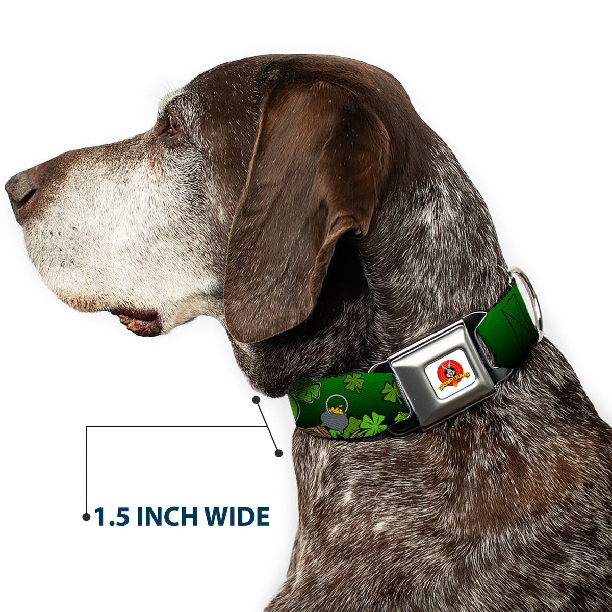 Looney Tunes Logo Full Color White Seatbelt Buckle Collar - Marvin the Martian & K-9 Poses/Clovers Greens Dog Collars Seatbelt Buckle Looney Tunes
