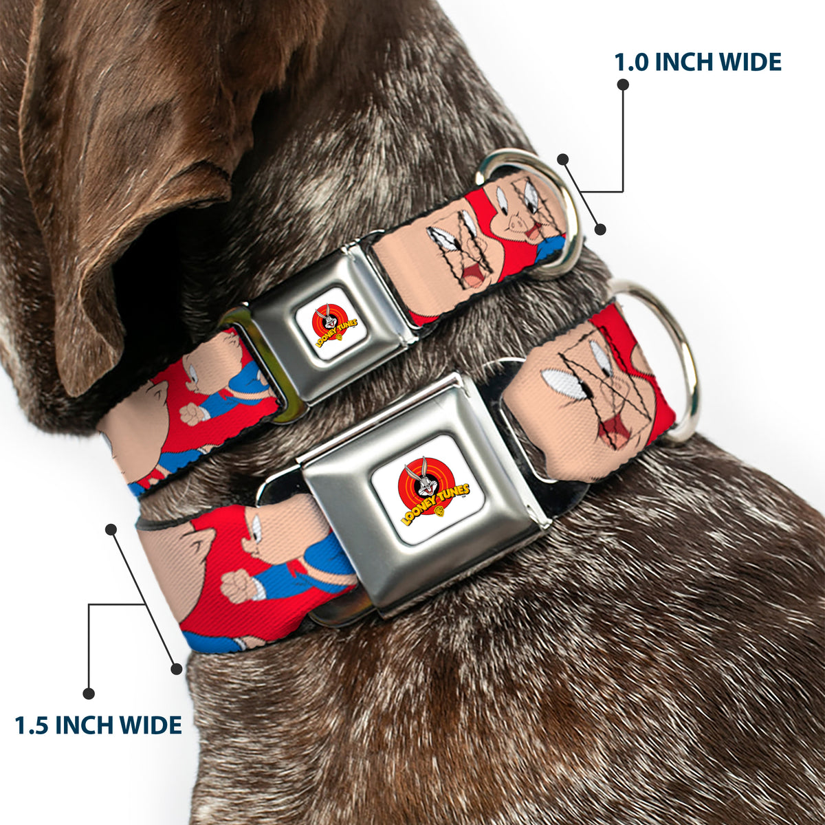Looney Tunes Logo Full Color White Seatbelt Buckle Collar - Porky Pig Expressions Red Dog Collars Seatbelt Buckle Looney Tunes
