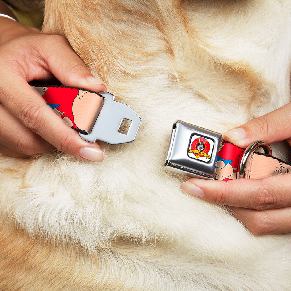 Looney Tunes Logo Full Color White Seatbelt Buckle Collar - Porky Pig Expressions Red Dog Collars Seatbelt Buckle Looney Tunes