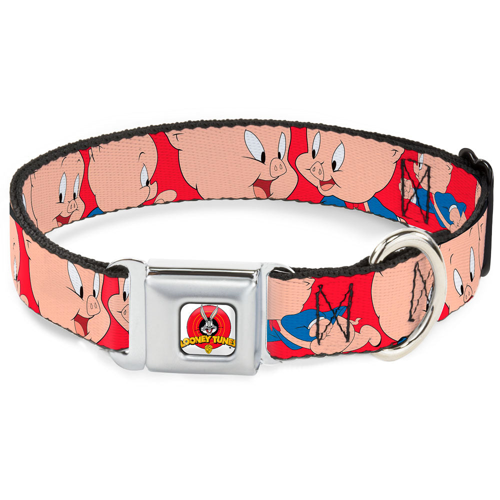 Looney Tunes Logo Full Color White Seatbelt Buckle Collar - Porky Pig Expressions Red Dog Collars Seatbelt Buckle Looney Tunes