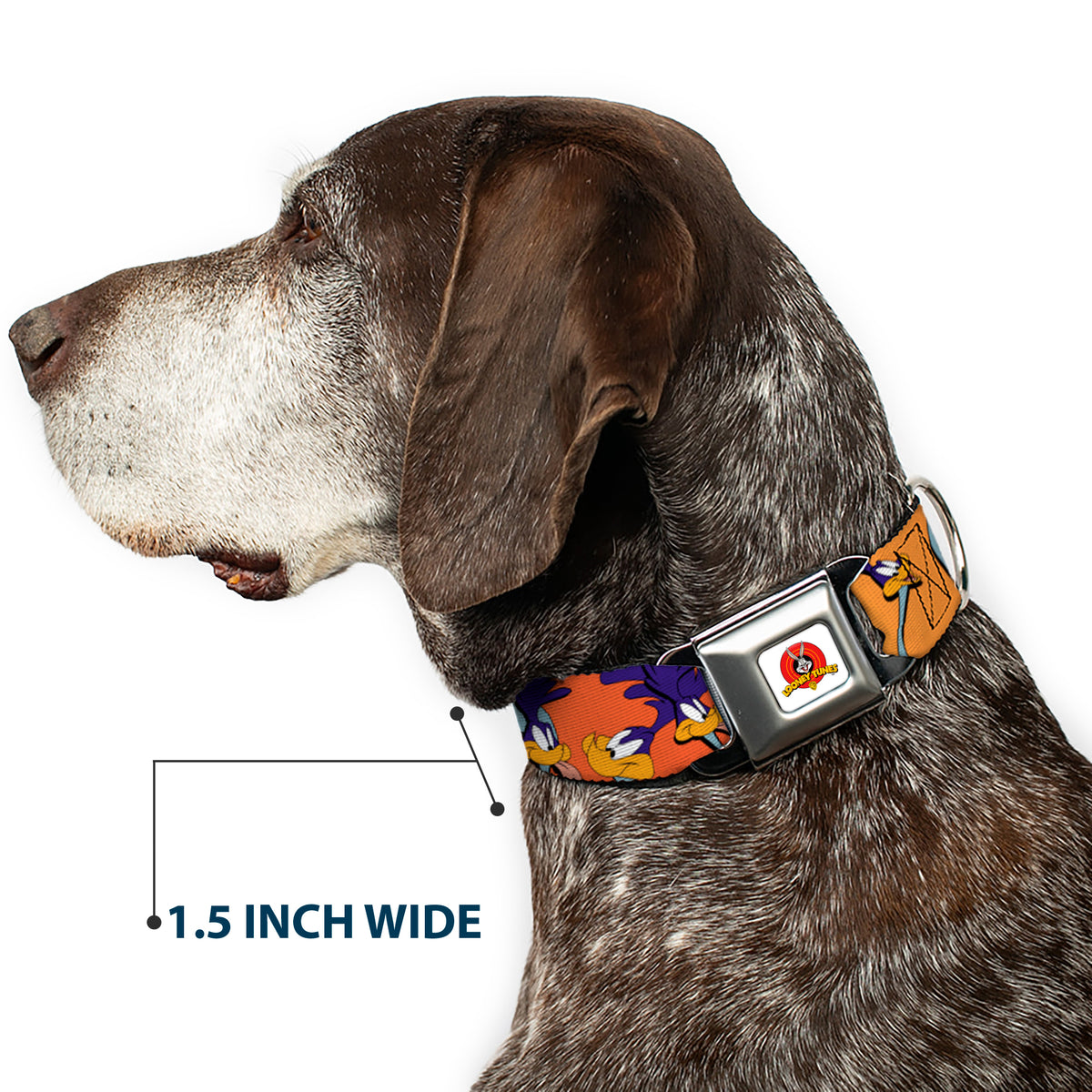 Looney Tunes Logo White Seatbelt Buckle Collar - ROAD RUNNER w/Road Runner Poses Orange Dog Collars Seatbelt Buckle Looney Tunes