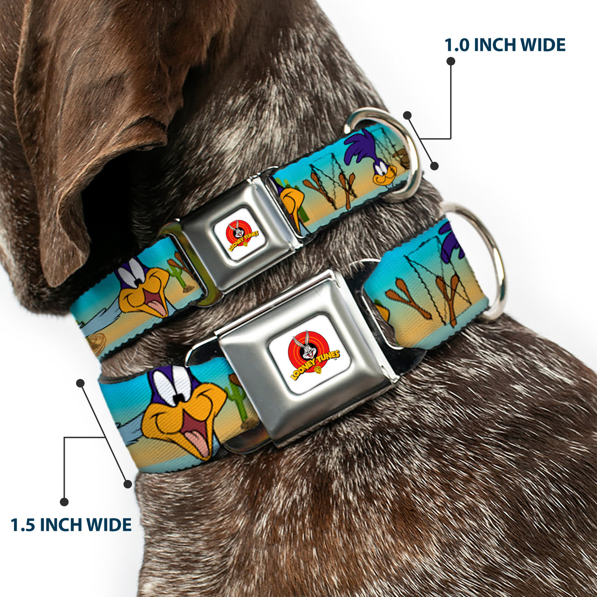 Looney Tunes Logo White Seatbelt Buckle Collar - Road Runner/Wile E. Coyote Scene1 Brown Fade Dog Collars Seatbelt Buckle Looney Tunes