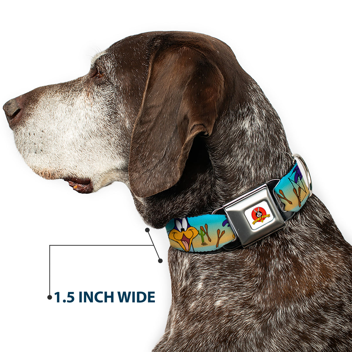 Looney Tunes Logo White Seatbelt Buckle Collar - Road Runner/Wile E. Coyote Scene1 Brown Fade Dog Collars Seatbelt Buckle Looney Tunes