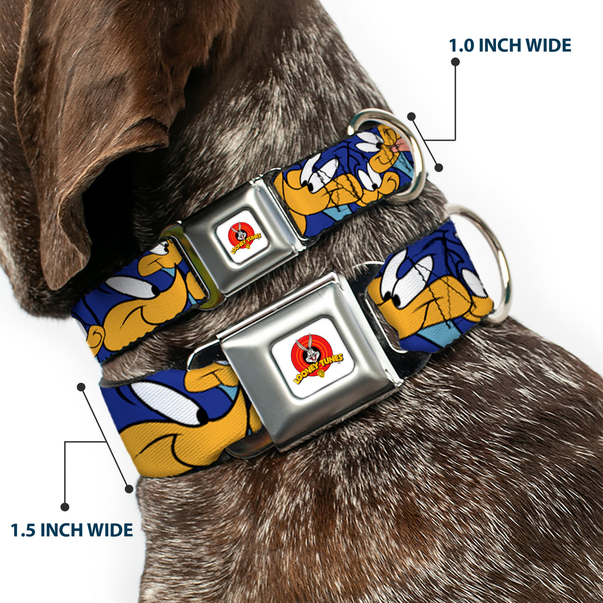 Looney Tunes Logo White Seatbelt Buckle Collar - Road Runner Expressions Stacked Dog Collars Seatbelt Buckle Looney Tunes