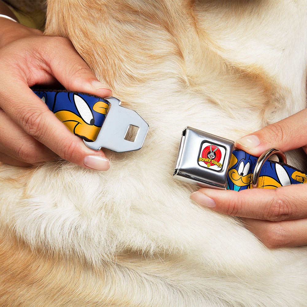 Looney Tunes Logo White Seatbelt Buckle Collar - Road Runner Expressions Stacked Dog Collars Seatbelt Buckle Looney Tunes
