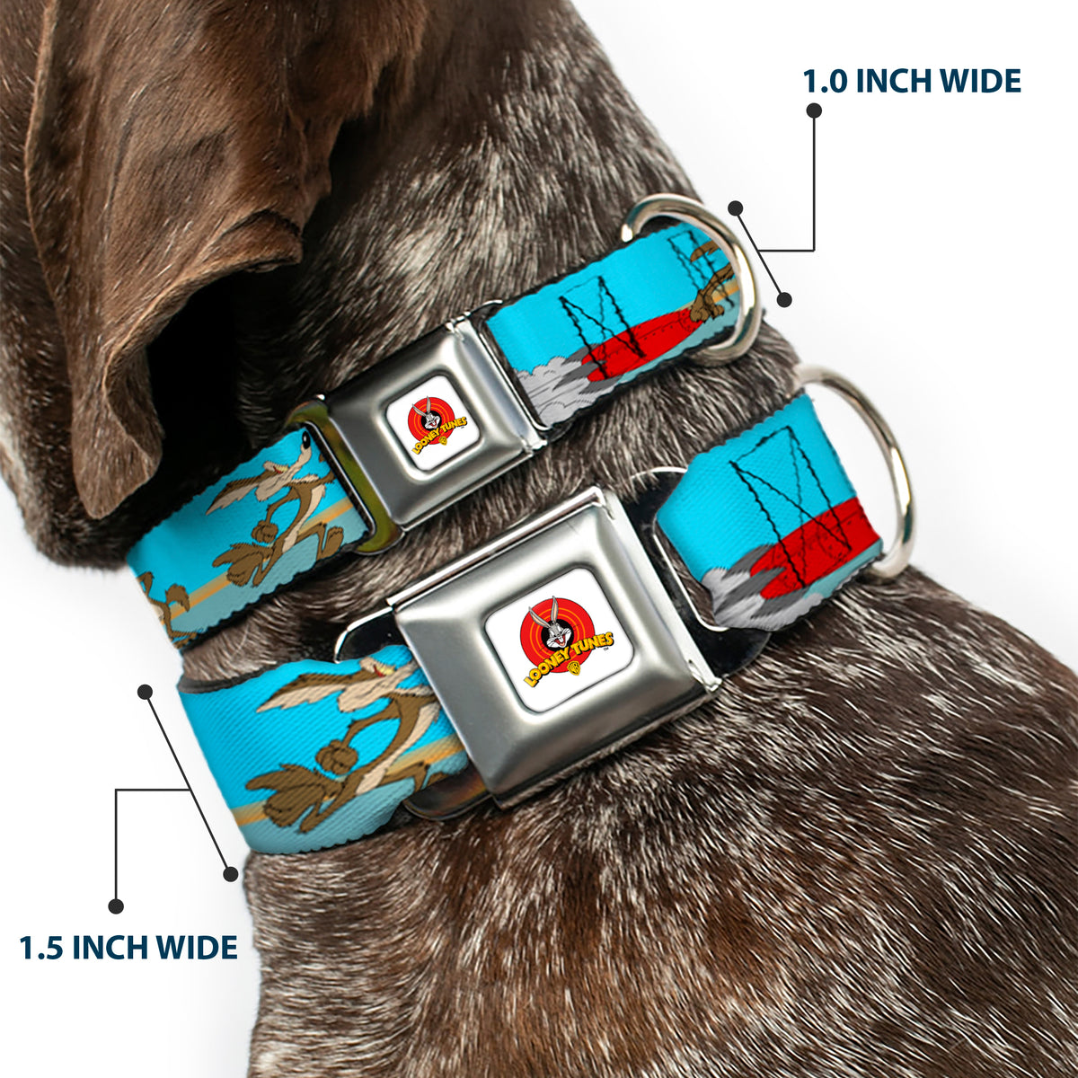 Looney Tunes Logo White Seatbelt Buckle Collar - Road Runner/Wile E. Coyote Scene2 Desert Dog Collars Seatbelt Buckle Looney Tunes