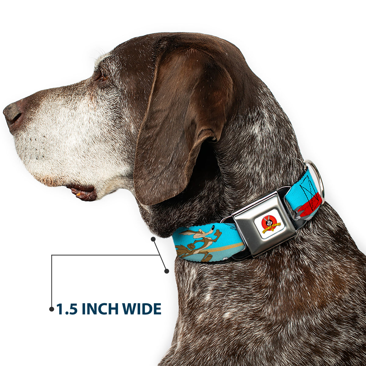 Looney Tunes Logo White Seatbelt Buckle Collar - Road Runner/Wile E. Coyote Scene2 Desert Dog Collars Seatbelt Buckle Looney Tunes