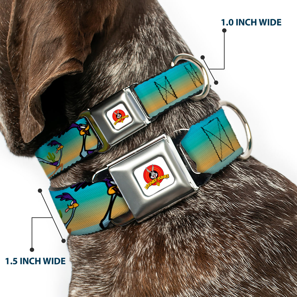 Looney Tunes Logo White Seatbelt Buckle Collar - Road Runner/Wile E. Coyote Scene1 Desert Dog Collars Seatbelt Buckle Looney Tunes