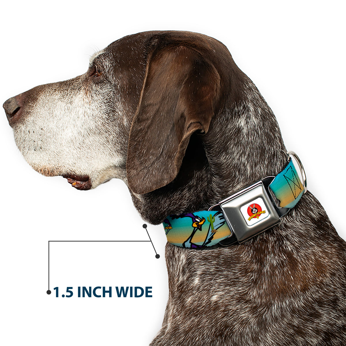 Looney Tunes Logo White Seatbelt Buckle Collar - Road Runner/Wile E. Coyote Scene1 Desert Dog Collars Seatbelt Buckle Looney Tunes