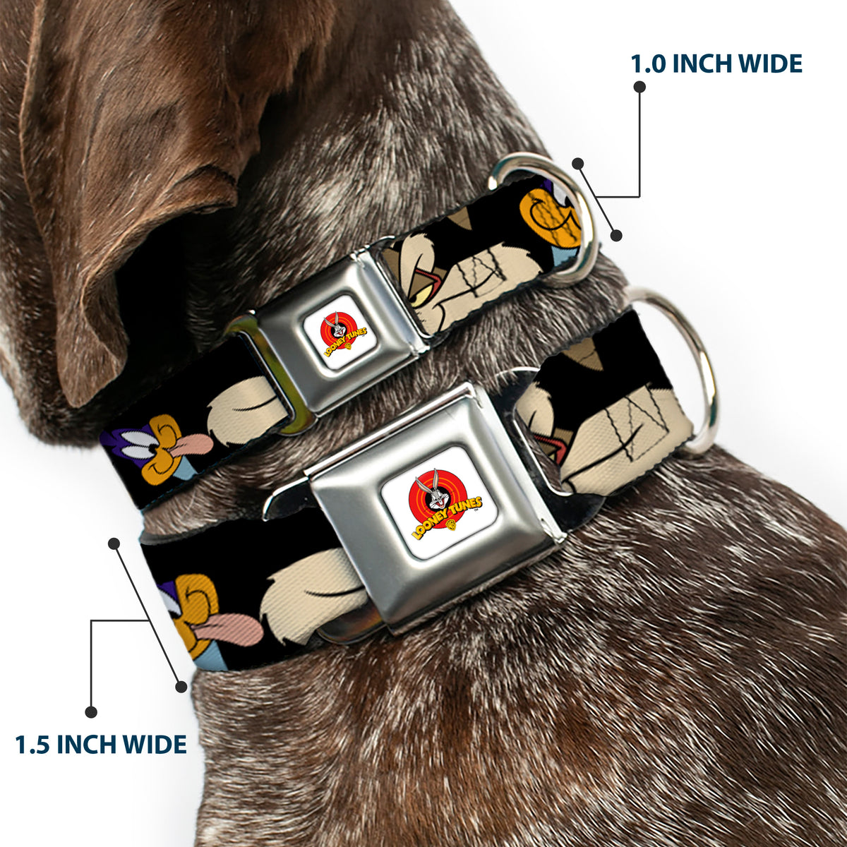 Looney Tunes Logo White Seatbelt Buckle Collar - Road Runner/Wile E. Coyote Expressions CLOSE-UP Black Dog Collars Seatbelt Buckle Looney Tunes
