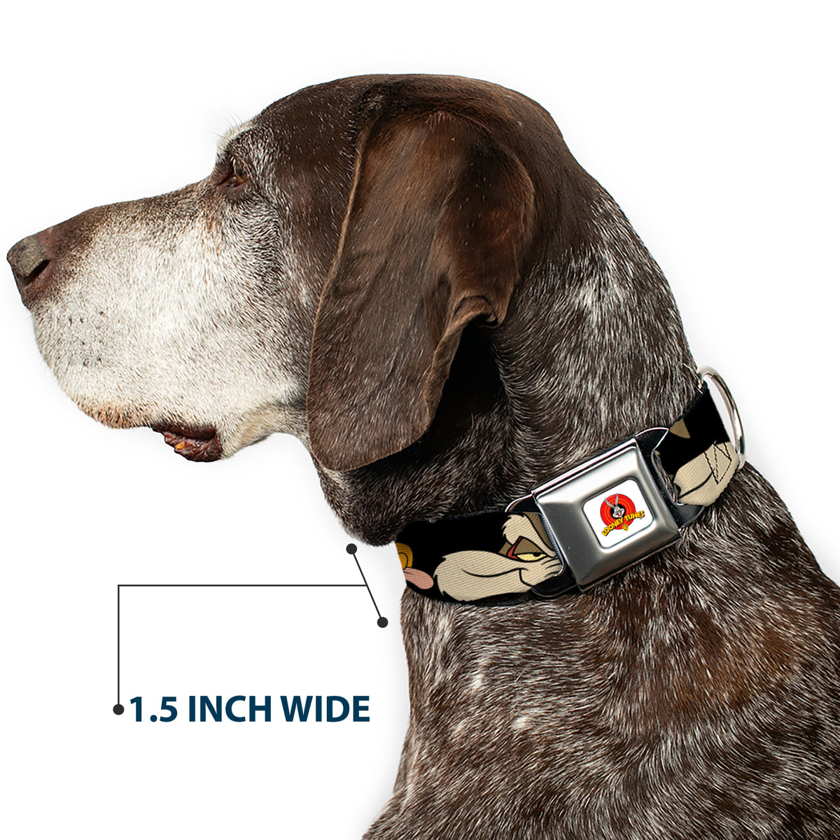 Looney Tunes Logo White Seatbelt Buckle Collar - Road Runner/Wile E. Coyote Expressions CLOSE-UP Black Dog Collars Seatbelt Buckle Looney Tunes