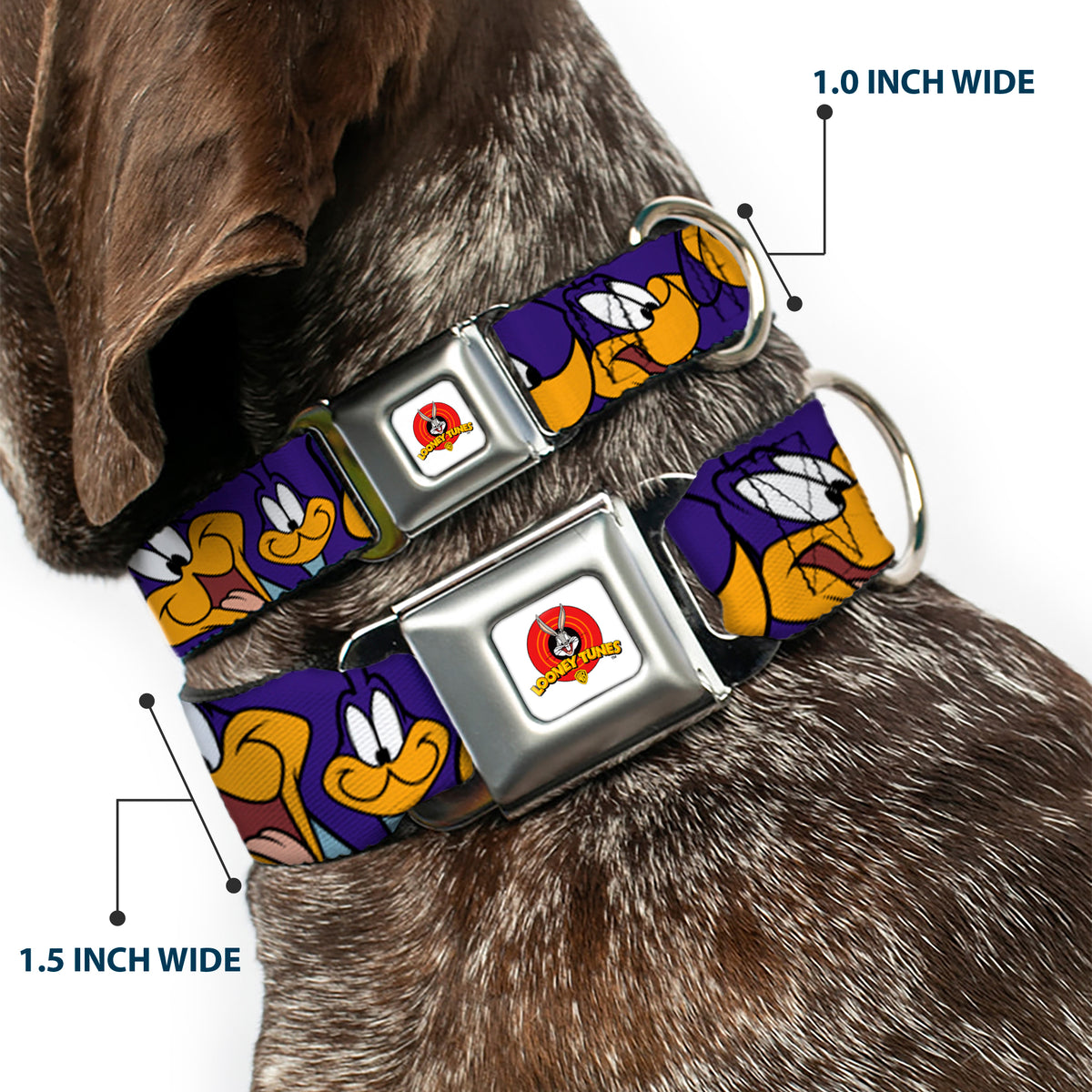Looney Tunes Logo White Seatbelt Buckle Collar - Road Runner Expressions Royal Dog Collars Seatbelt Buckle Looney Tunes