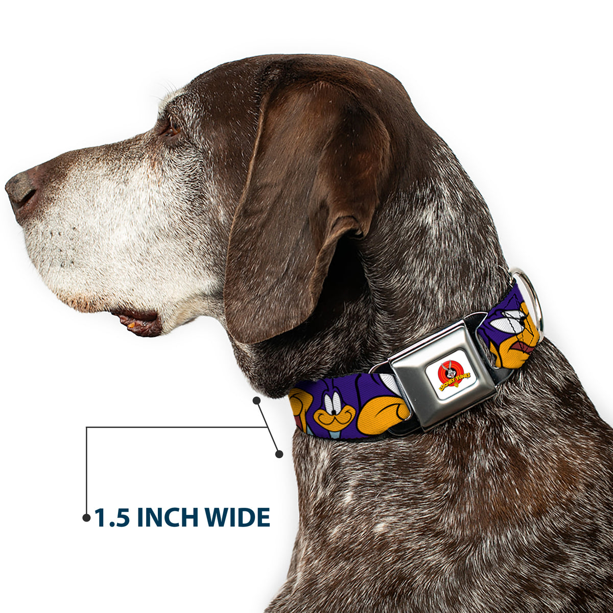 Looney Tunes Logo White Seatbelt Buckle Collar - Road Runner Expressions Royal Dog Collars Seatbelt Buckle Looney Tunes