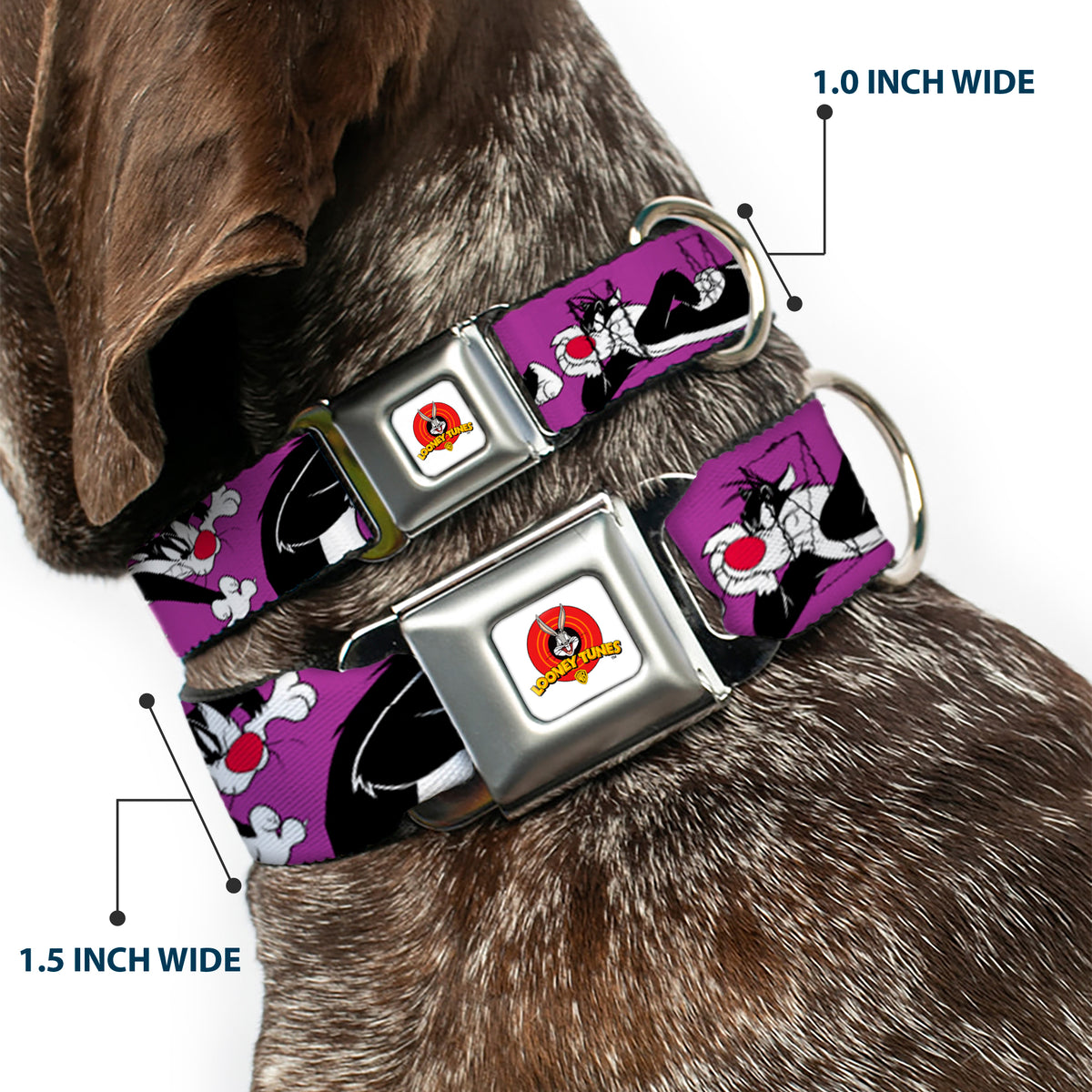 Looney Tunes Logo Full Color White Seatbelt Buckle Collar - Sylvester the Cat Poses Purple Dog Collars Seatbelt Buckle Looney Tunes