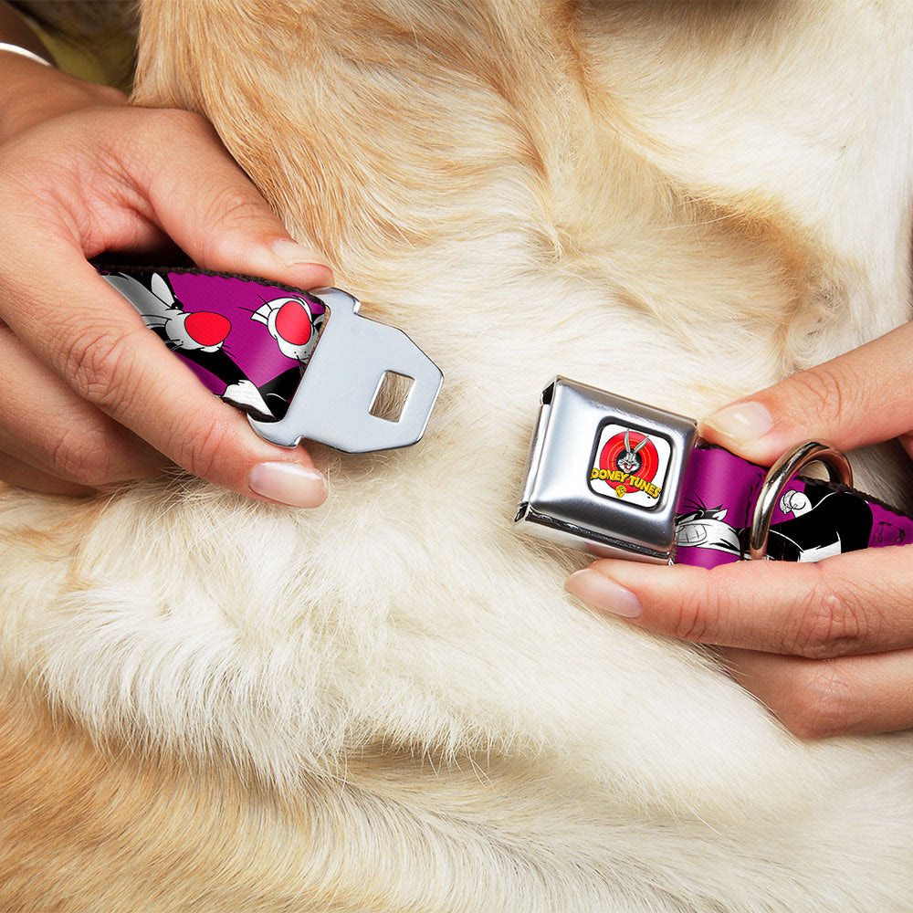 Looney Tunes Logo Full Color White Seatbelt Buckle Collar - Sylvester the Cat Poses Purple Dog Collars Seatbelt Buckle Looney Tunes