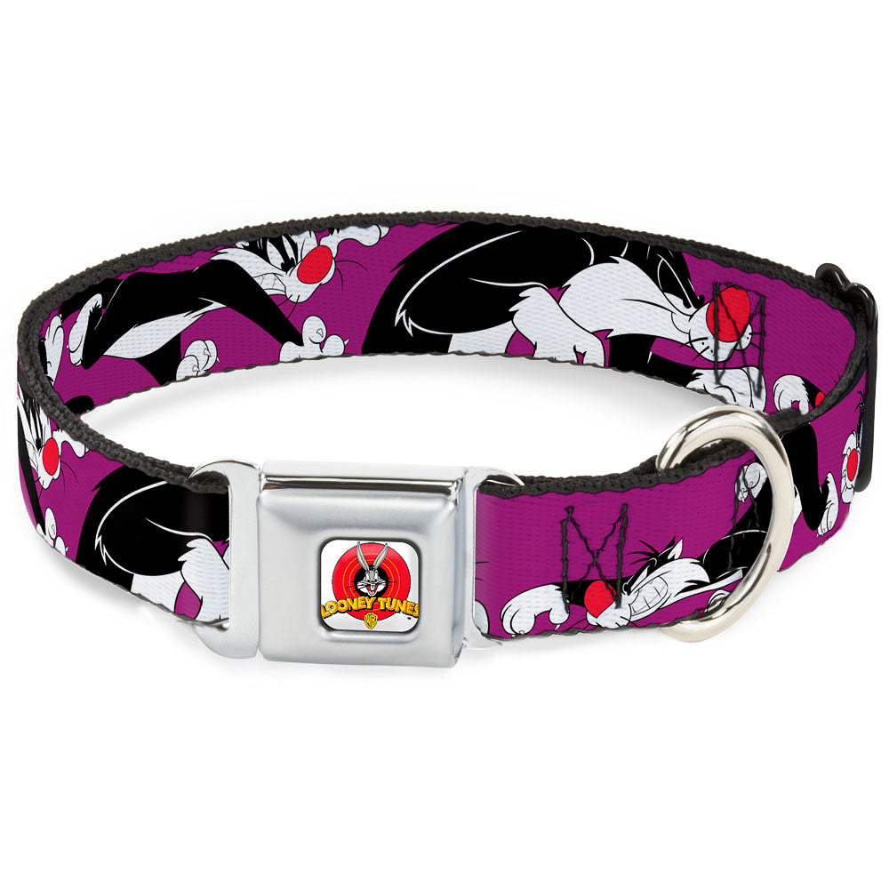 Looney Tunes Logo Full Color White Seatbelt Buckle Collar - Sylvester the Cat Poses Purple Dog Collars Seatbelt Buckle Looney Tunes