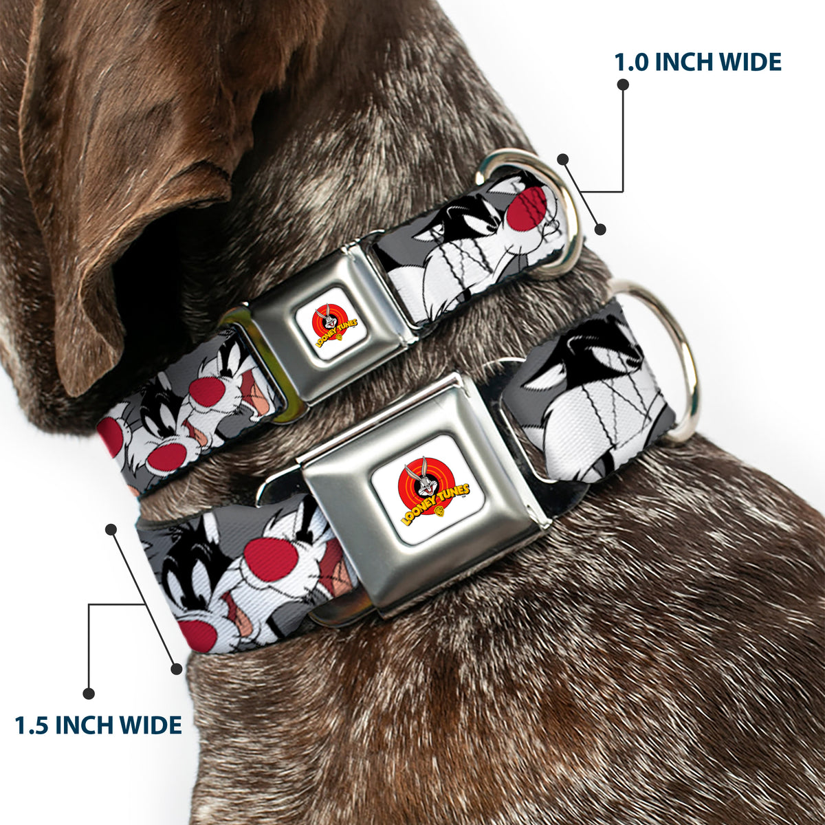 Looney Tunes Logo Full Color White Seatbelt Buckle Collar - Sylvester the Cat Expressions Gray Dog Collars Seatbelt Buckle Looney Tunes