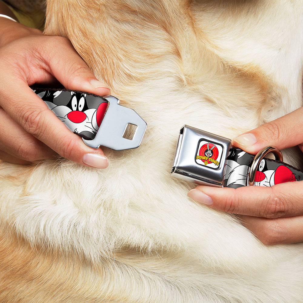 Looney Tunes Logo Full Color White Seatbelt Buckle Collar - Sylvester the Cat Expressions Gray Dog Collars Seatbelt Buckle Looney Tunes
