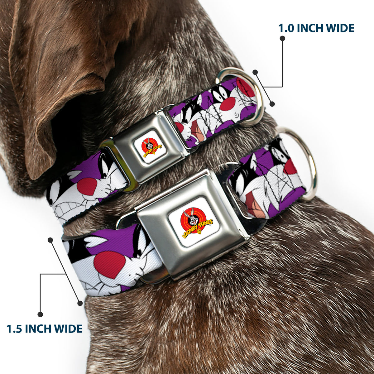 Looney Tunes Logo Full Color White Seatbelt Buckle Collar - Sylvester the Cat Expressions Purple Dog Collars Seatbelt Buckle Looney Tunes