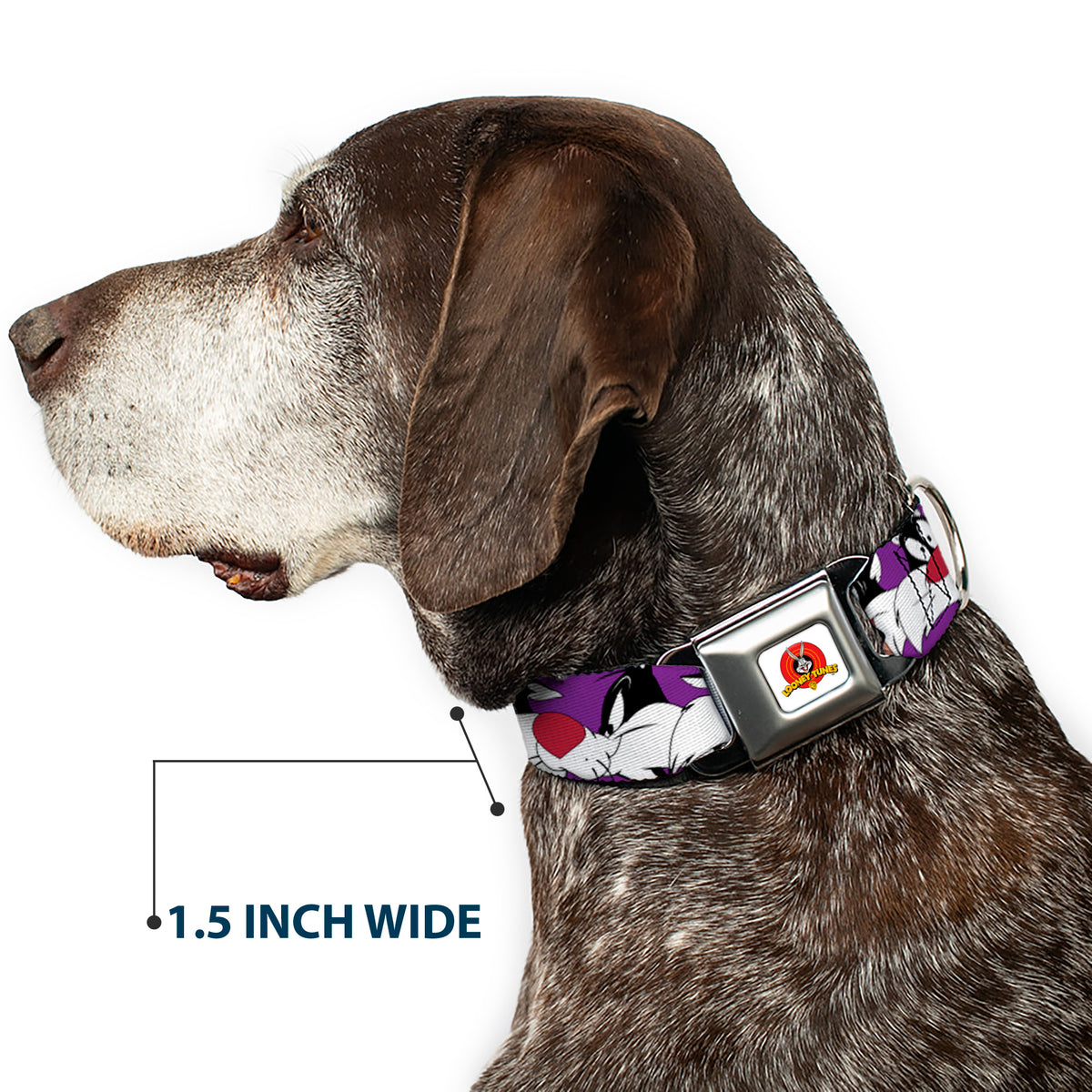 Looney Tunes Logo Full Color White Seatbelt Buckle Collar - Sylvester the Cat Expressions Purple Dog Collars Seatbelt Buckle Looney Tunes