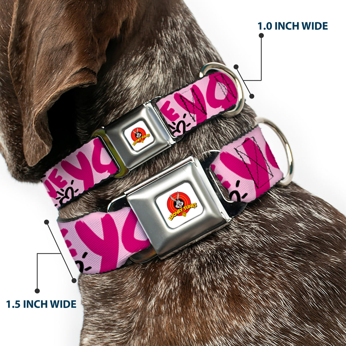 Looney Tunes Logo Full Color White Seatbelt Buckle Collar - Tweety Bird I LOVE YOU Pink/Black Dog Collars Seatbelt Buckle Looney Tunes
