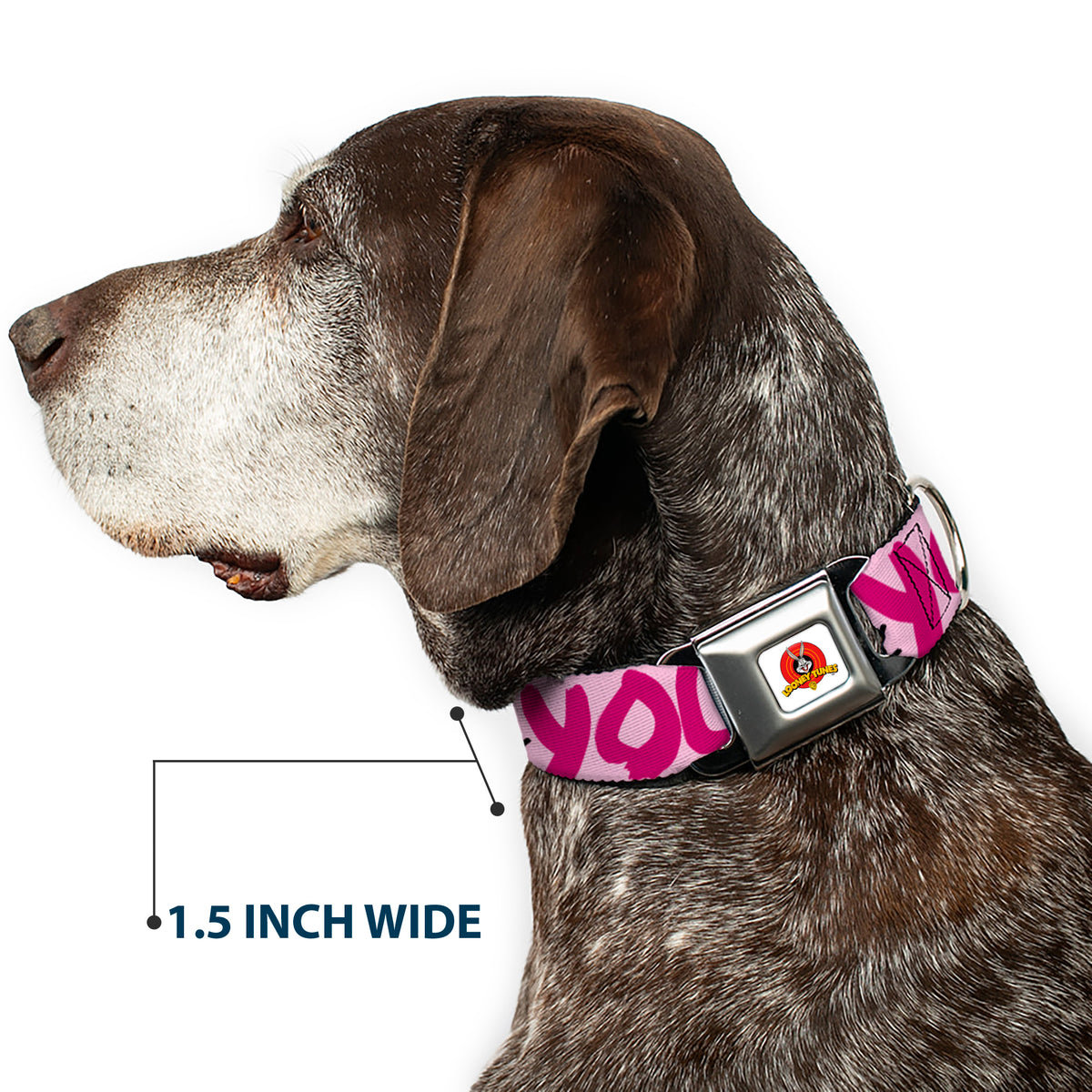 Looney Tunes Logo Full Color White Seatbelt Buckle Collar - Tweety Bird I LOVE YOU Pink/Black Dog Collars Seatbelt Buckle Looney Tunes