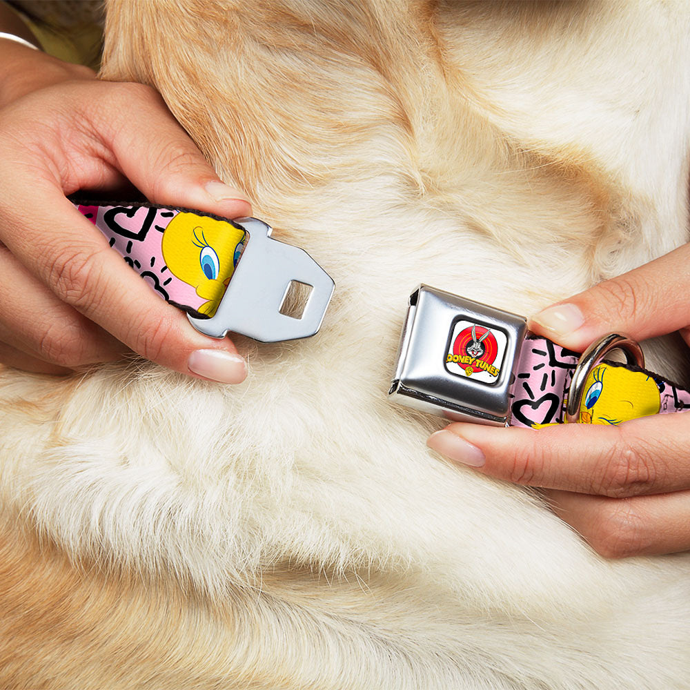 Looney Tunes Logo Full Color White Seatbelt Buckle Collar - Tweety Bird I LOVE YOU Pink/Black Dog Collars Seatbelt Buckle Looney Tunes