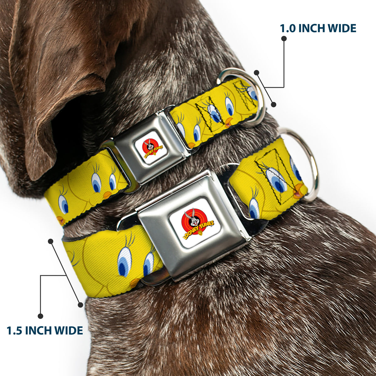 Looney Tunes Logo Full Color White Seatbelt Buckle Collar - Tweety Bird Expressions Yellow Dog Collars Seatbelt Buckle Looney Tunes