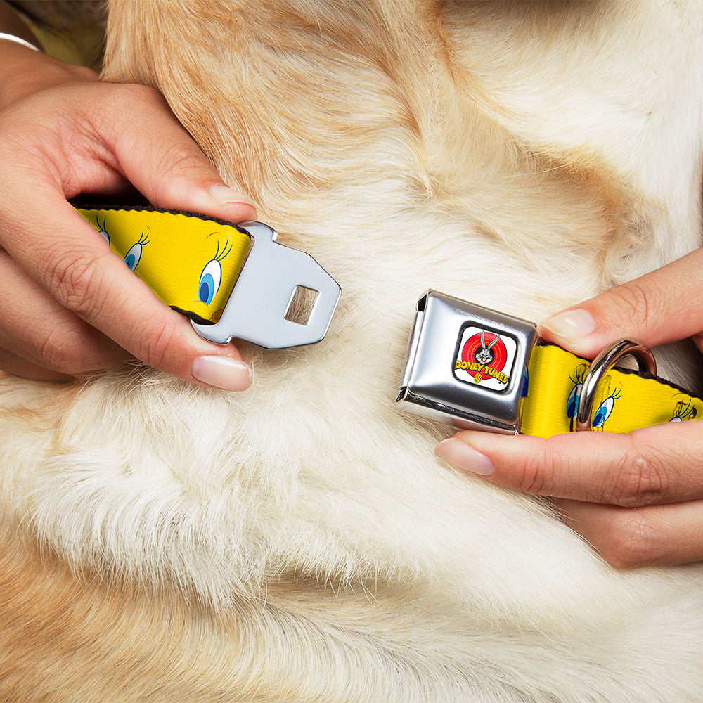 Looney Tunes Logo Full Color White Seatbelt Buckle Collar - Tweety Bird Expressions2 Dog Collars Seatbelt Buckle Looney Tunes