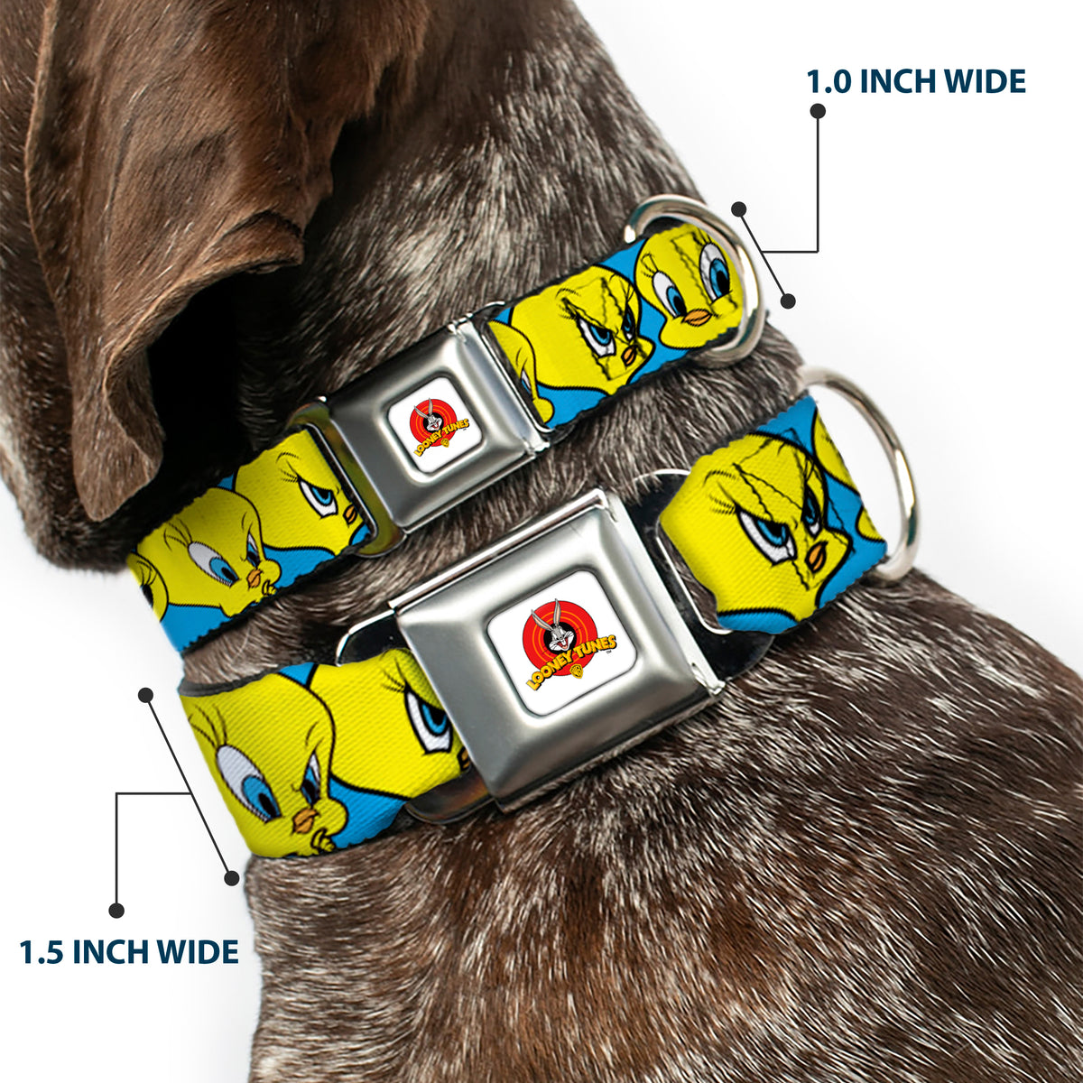 Looney Tunes Logo Full Color White Seatbelt Buckle Collar - Tweety Bird CLOSE-UP Expressions Baby Blue Dog Collars Seatbelt Buckle Looney Tunes
