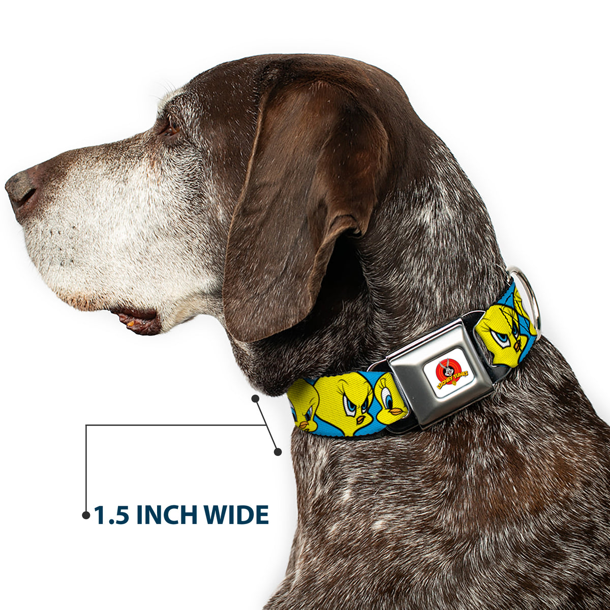 Looney Tunes Logo Full Color White Seatbelt Buckle Collar - Tweety Bird CLOSE-UP Expressions Baby Blue Dog Collars Seatbelt Buckle Looney Tunes