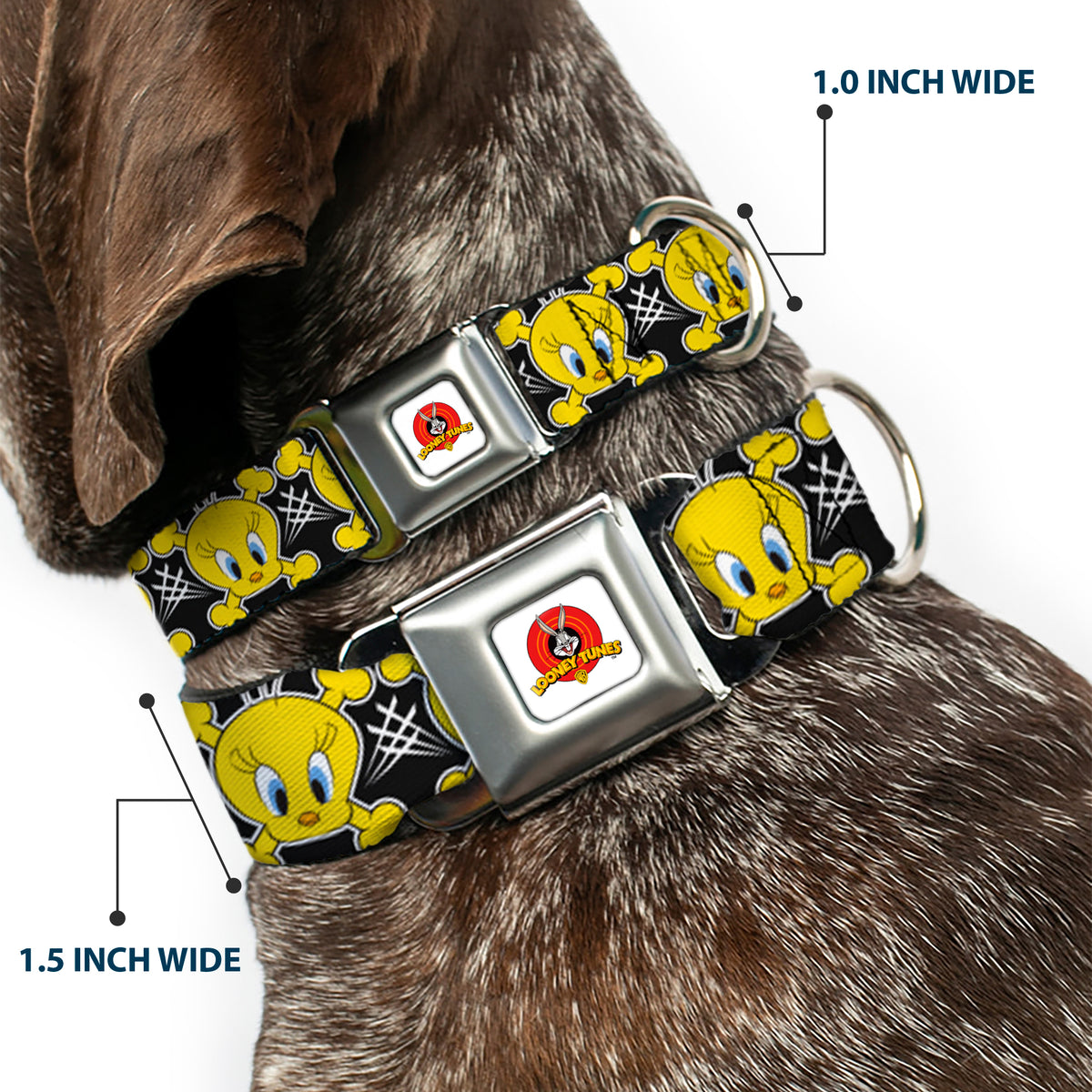 Looney Tunes Logo Full Color White Seatbelt Buckle Collar - Tweety Bird & Crossbones Black/White/Yellow Dog Collars Seatbelt Buckle Looney Tunes