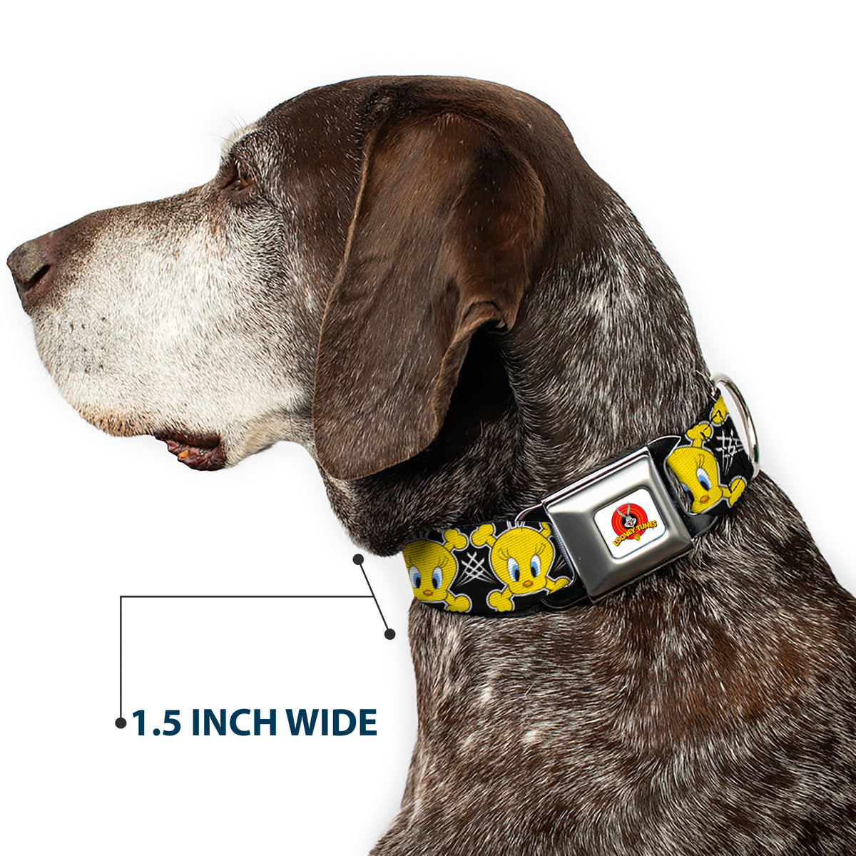 Looney Tunes Logo Full Color White Seatbelt Buckle Collar - Tweety Bird & Crossbones Black/White/Yellow Dog Collars Seatbelt Buckle Looney Tunes