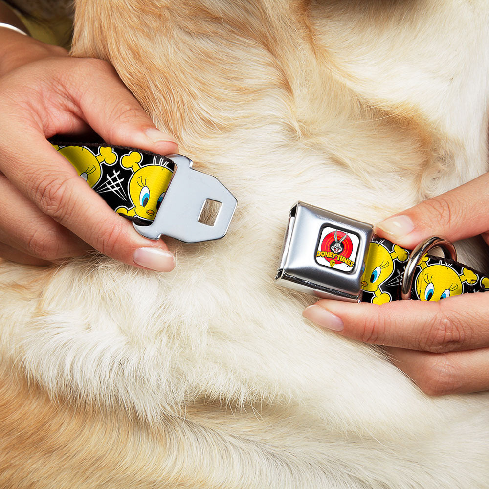 Looney Tunes Logo Full Color White Seatbelt Buckle Collar - Tweety Bird & Crossbones Black/White/Yellow Dog Collars Seatbelt Buckle Looney Tunes