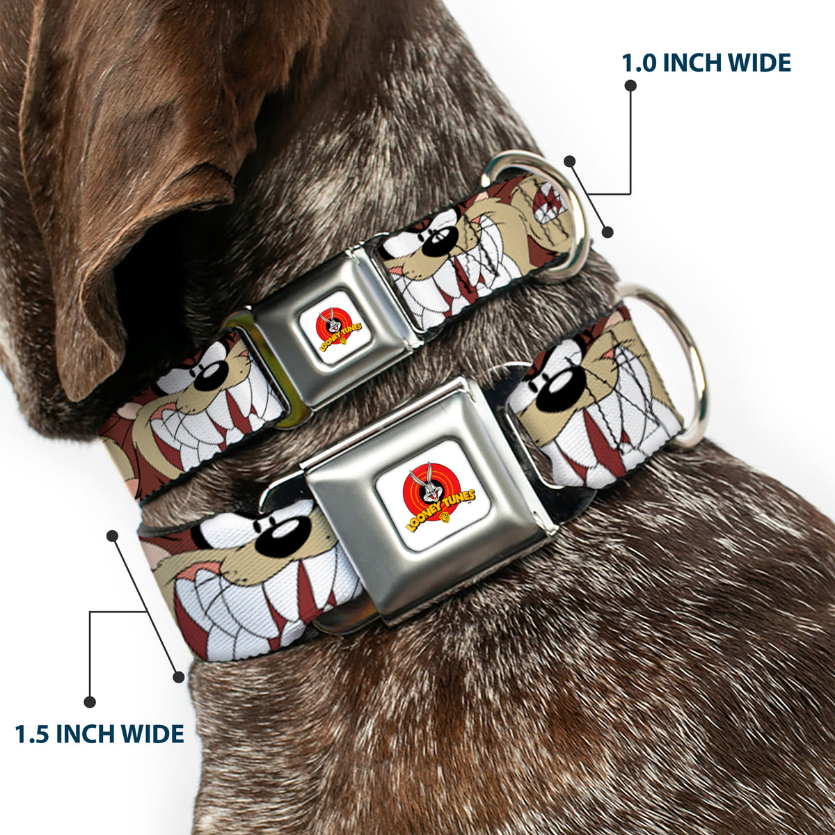 Looney Tunes Logo Full Color White Seatbelt Buckle Collar - Tasmanian Devil Expressions Brown Dog Collars Seatbelt Buckle Looney Tunes