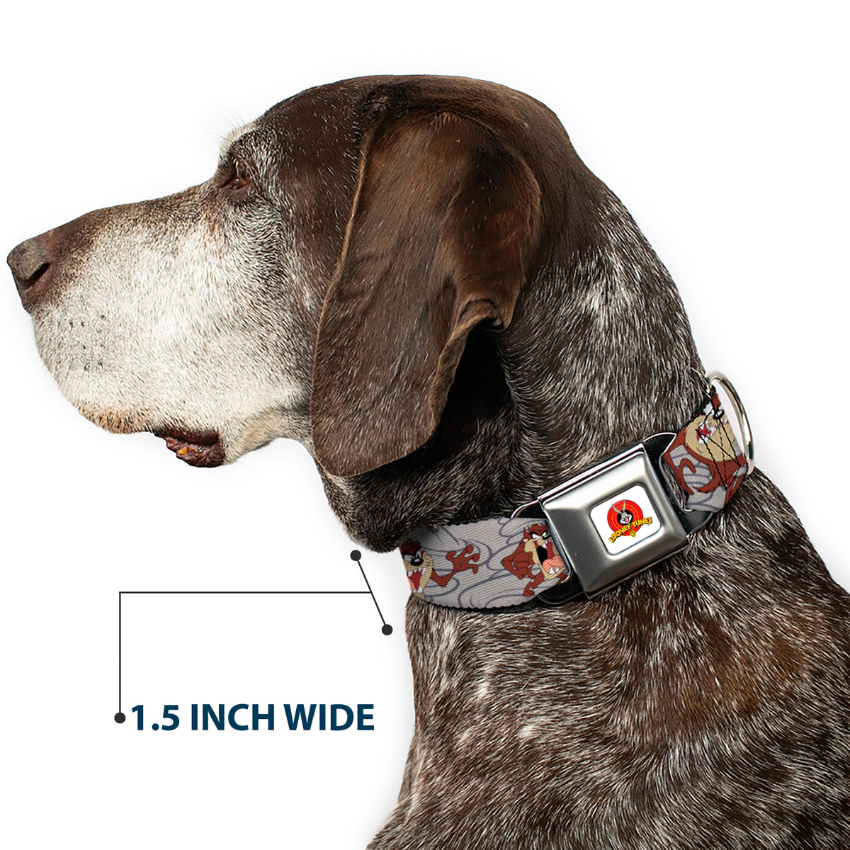 Looney Tunes Logo Full Color White Seatbelt Buckle Collar - Tasmanian Devil Expressions Gray Swirl Dog Collars Seatbelt Buckle Looney Tunes