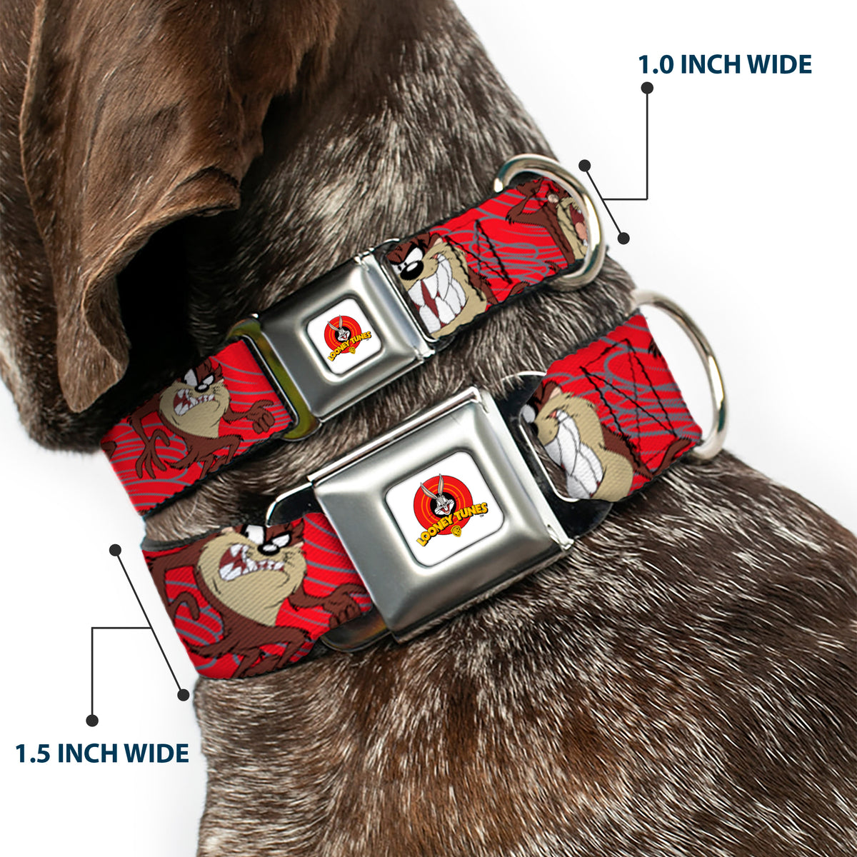 Looney Tunes Logo Full Color White Seatbelt Buckle Collar - Tasmanian Devil Expressions Red Swirl Dog Collars Seatbelt Buckle Looney Tunes