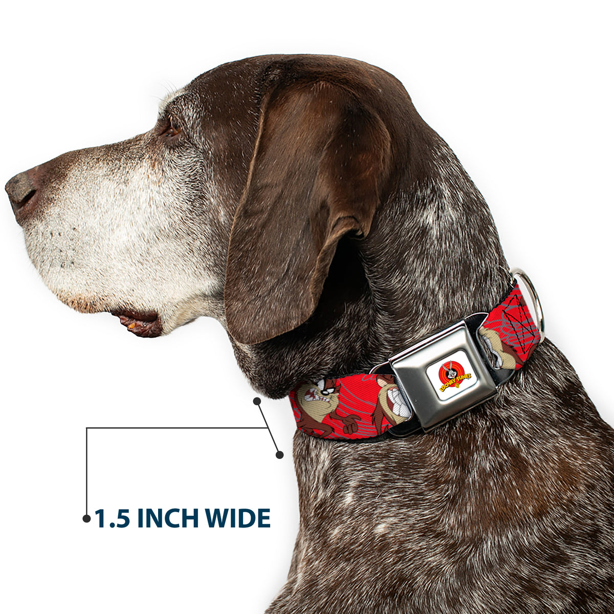 Looney Tunes Logo Full Color White Seatbelt Buckle Collar - Tasmanian Devil Expressions Red Swirl Dog Collars Seatbelt Buckle Looney Tunes